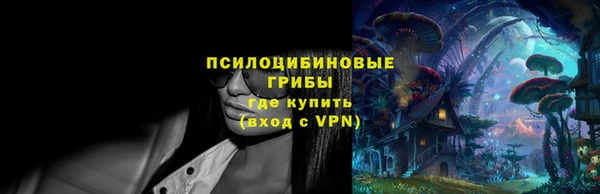 бошки Алексеевка