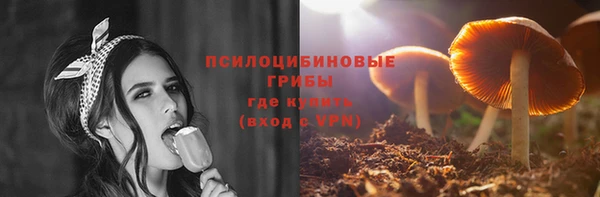 бошки Алексеевка