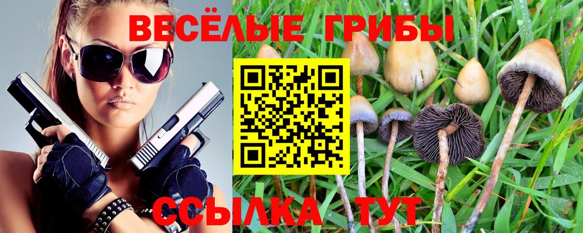 Галлюциногенные грибы Cubensis  Вход с VPN  Урай  Галлюциногенные грибы прущие грибы 