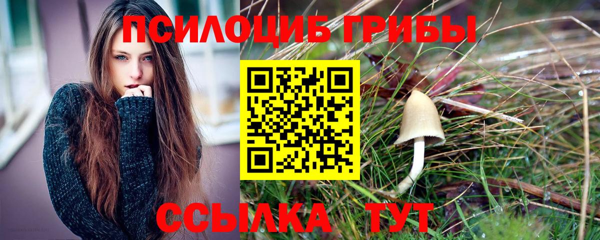 Псилоцибиновые грибы MAGIC MUSHROOMS Урай